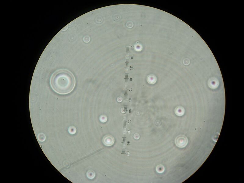 File:IC07 image076.jpg