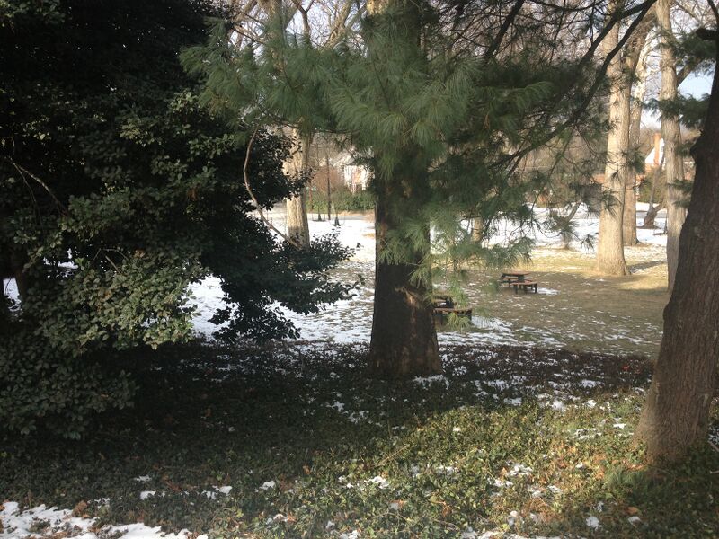 File:IMG 2105-1-.JPG