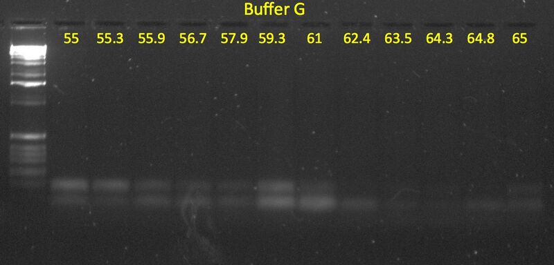 File:20110311 GelZoom.jpg