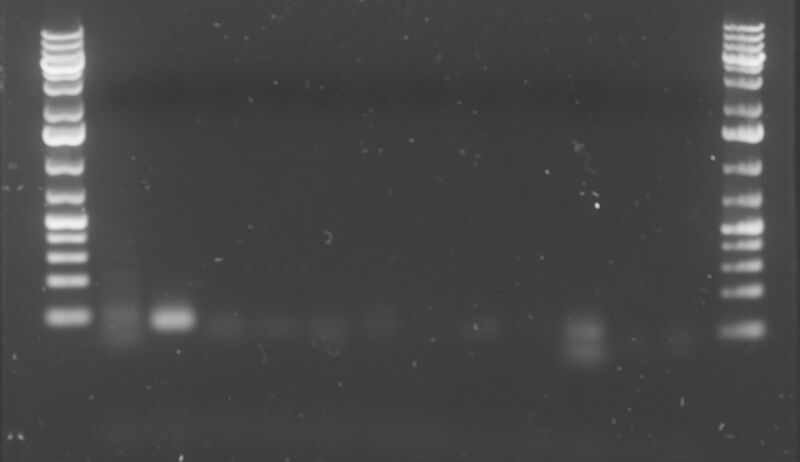 File:AQE 4-02-15.jpg