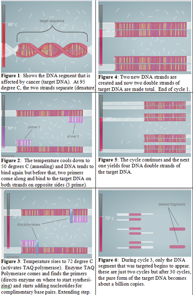 File:Extra credit g7.png