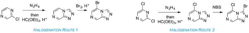 File:Halogenated Core Synthesis.png