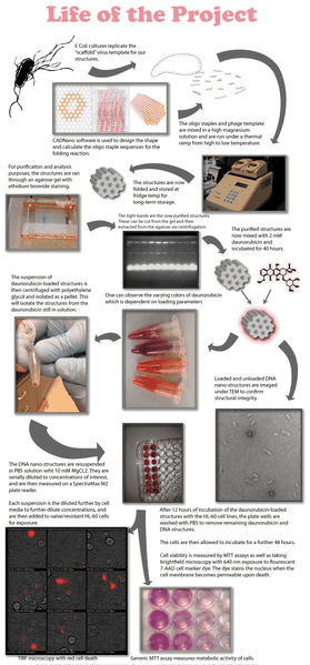 File:OSULifeofproject 01.gif