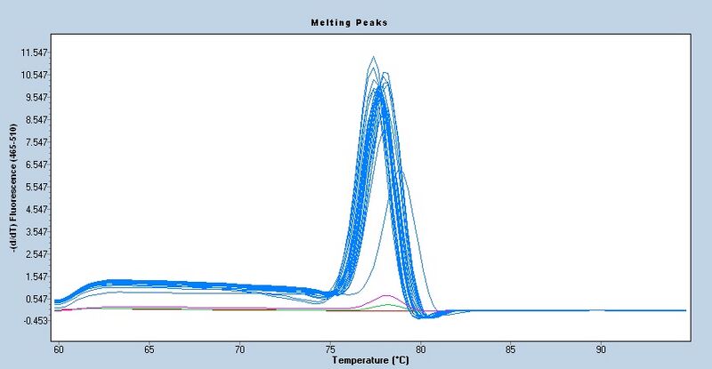 File:S11 M3D5 WF CNI-melt.jpg