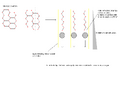 Thumbnail for version as of 11:27, 7 July 2010