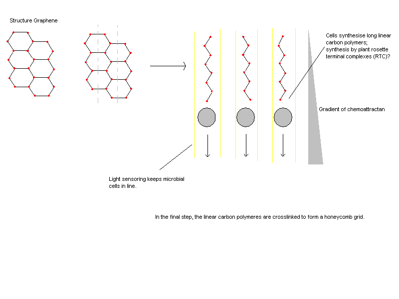 File:SchemeGrapheneproduction.bmp