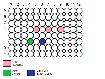 96 Plate Schematic