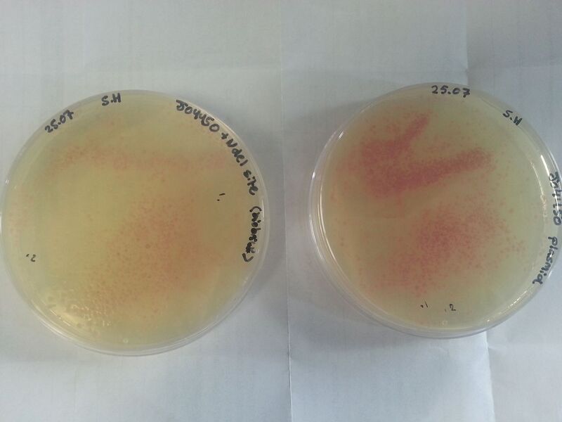 File:Et82gBV3SfQYz-70T0ZzuQJLe25LUzWZT9E2H9 UKW4.jpg