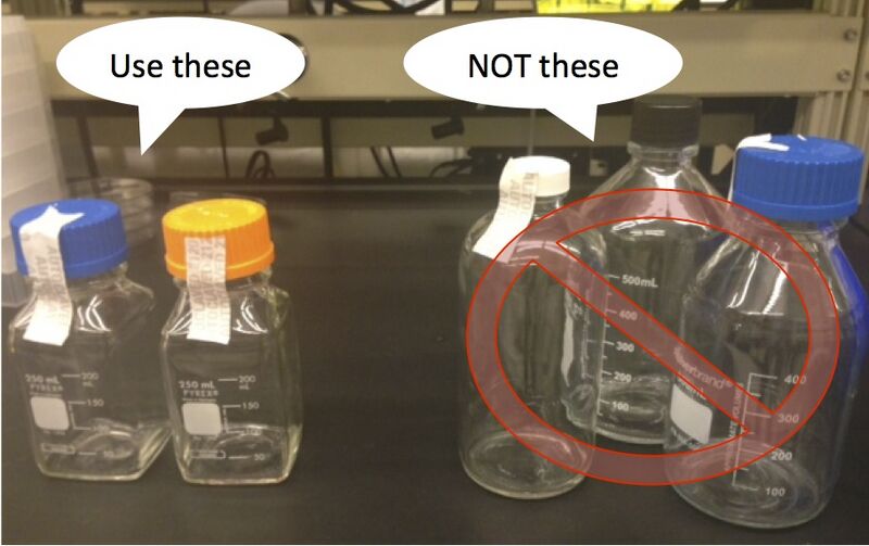 File:HaynesLab VD 1.jpg