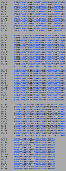 File:MPvNP MV SA.png