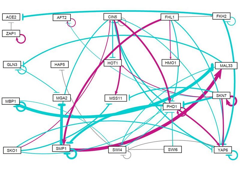 File:Wt alone w1 network v1.0.10.jpg