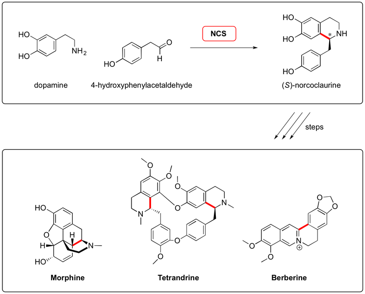 File:2011 Waldmann ACI2 2.png