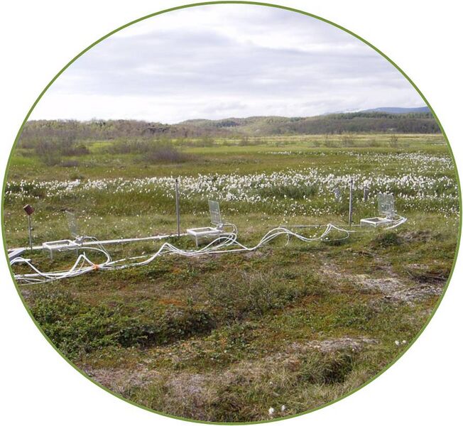 File:AbiskoMire 1.jpg