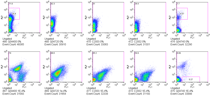File:August24 2006 libraries.png