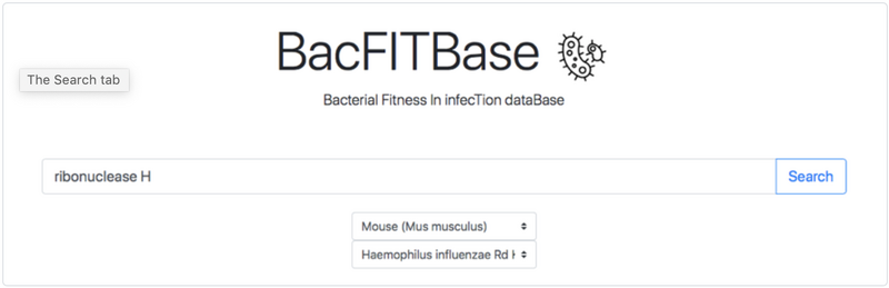 File:BACFIT.png