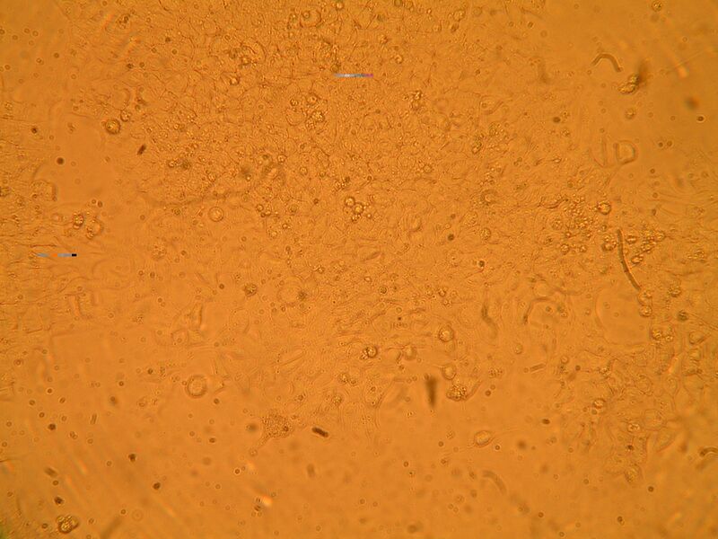 File:Mod2Day3Part1-1a