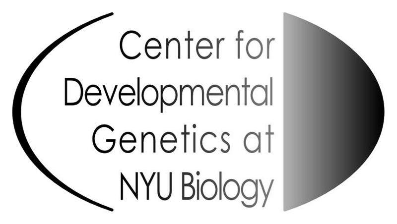 File:NYU-DG-logo.jpg