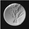 Thumbnail for version as of 19:45, 8 August 2012
