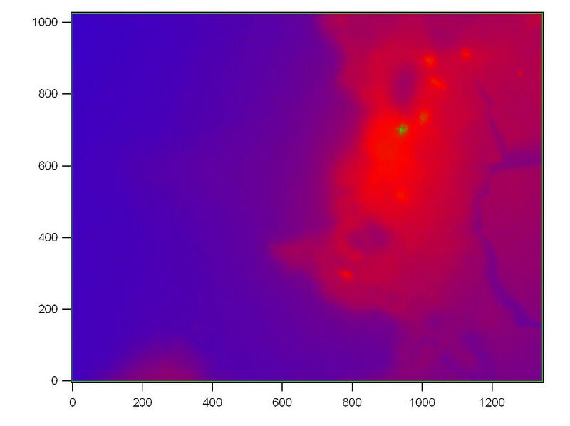File:40xfluorescence sample1 9.jpeg