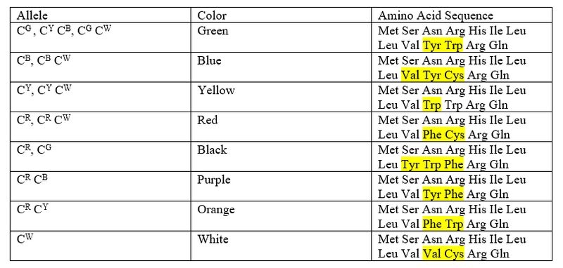 File:Drew Cartmel Lab Part B.png