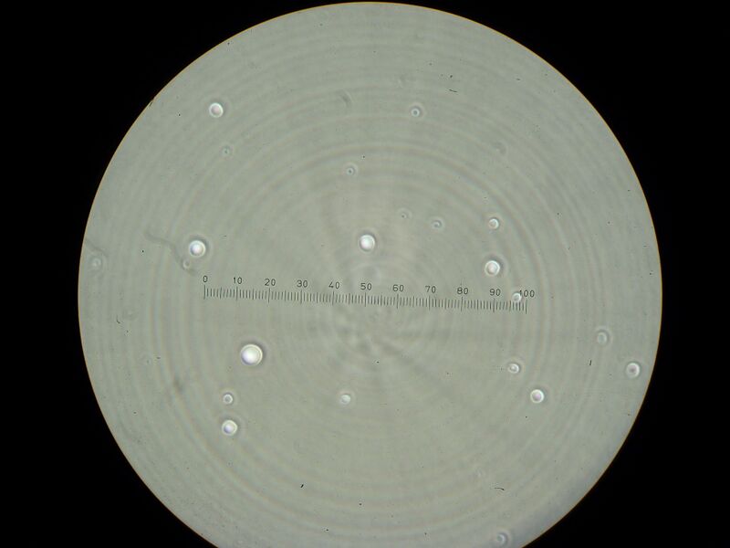 File:IC07 image103.jpg