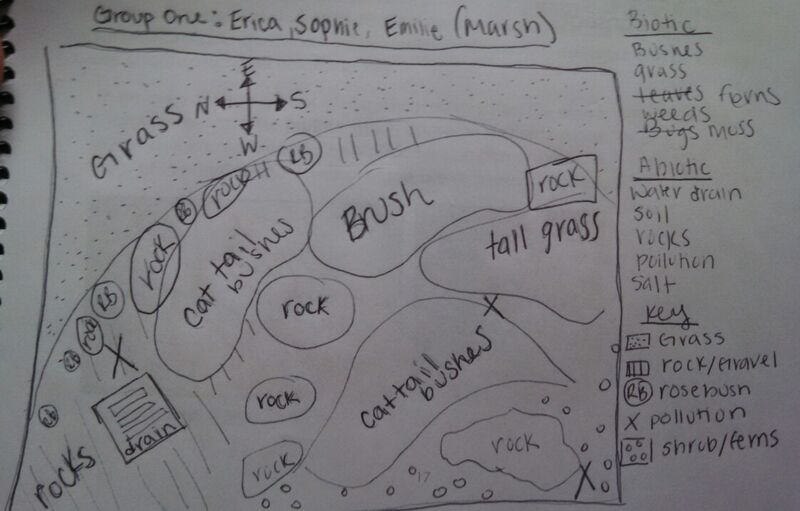 File:IMG 20150125 201424.jpg