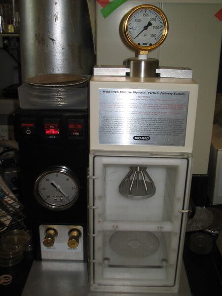 File:Macintosh HD-Users-nkuldell-Desktop-mtDNA re-org-biolistics-HMSbiolistics.jpg