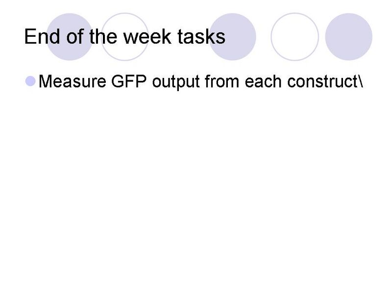 File:PSUiGEM07weeklyplan611Slide4.JPG