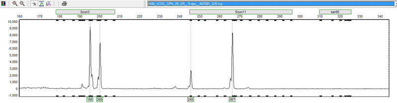 File:20120120 sar80 CPN05.png