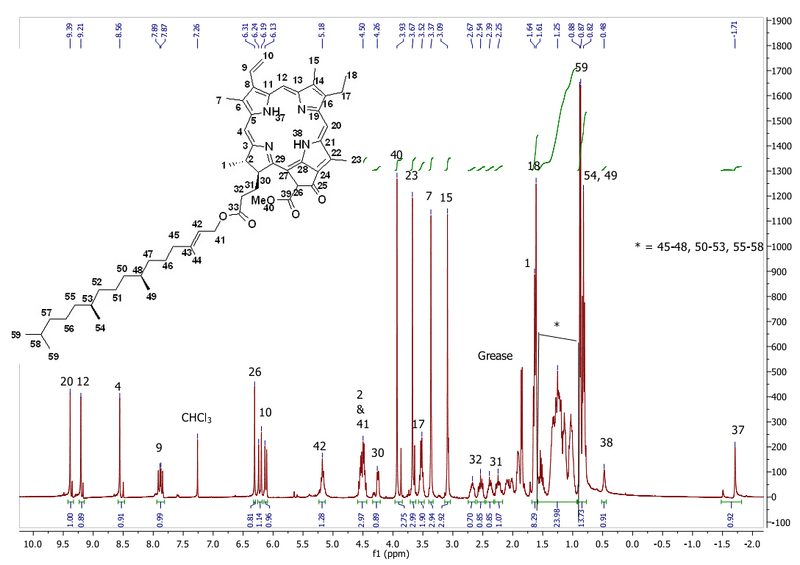1H NMR for compound 7