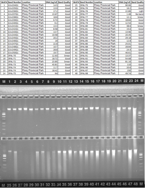 File:COLO1 5242017.PNG