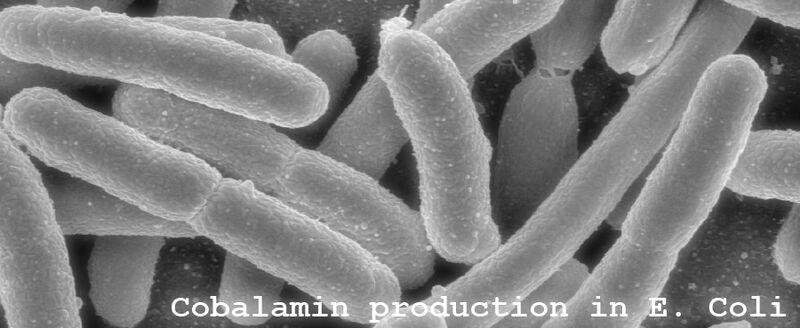 File:Group6 header.jpg