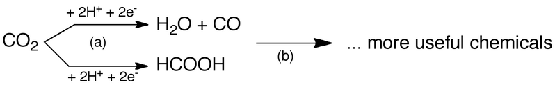 File:Hartings Phosphorylation CO2reduction.tif