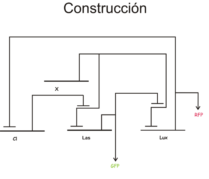 File:IGEM Mexico 2007 logicgates.png
