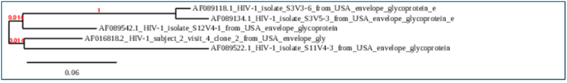 File:Mkphylotreehiv1.PNG