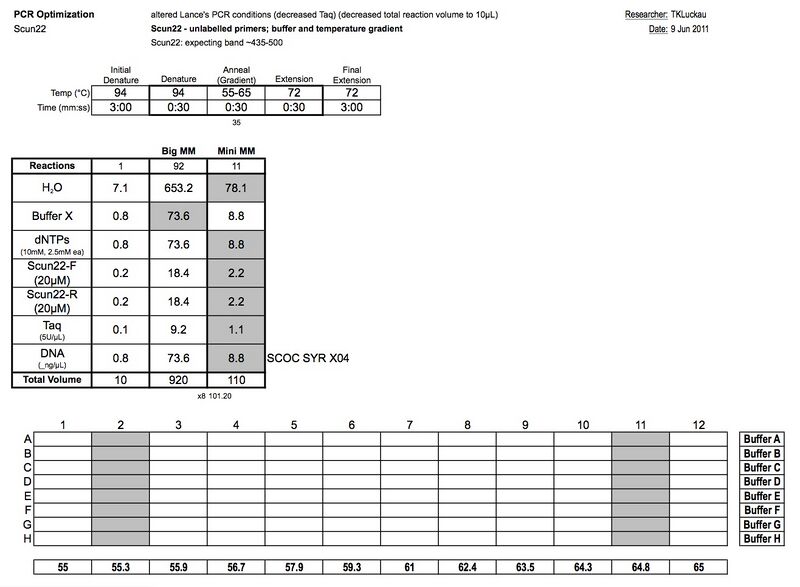 File:20110609 PCR 2.jpg