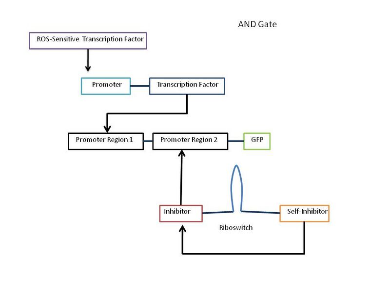 File:AND GateBYU.jpg