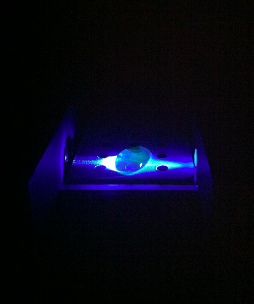 File:BME103 Group15 calf.jpg