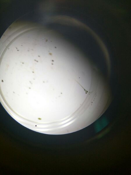 File:BME103 Group302 AUBIO210.jpg