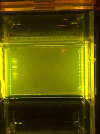 Description of image