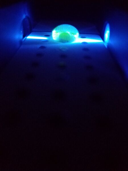 File:G3 Pos 2 EA.jpg