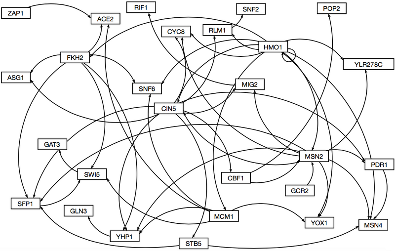 File:GendronMap dCIN5WT.jpg