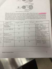 Figure 5.3. Table of invertebrate characterizations