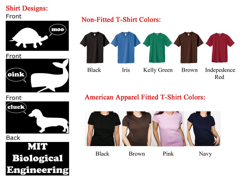 File:BE T-shirt Colors.jpg