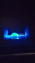 1.0 μg/mL (Calf Thymus DNA)