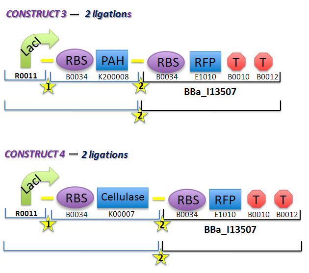 File:II09 ConstructsM1.jpg