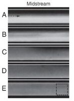 Figure 6. Each photo was taken at the midpoint of the electromagnet at t = 0s, 1s, 3s, 5s, and 8s after the electromagnet was turned on.[6]