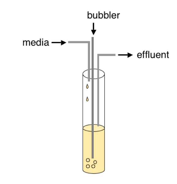 File:STN Chemostat Schematic.png