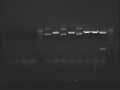 Thumbnail for version as of 21:32, 1 October 2009