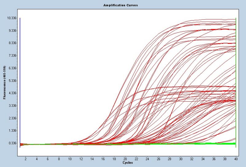 File:S14 M3D5 WF raw.jpg